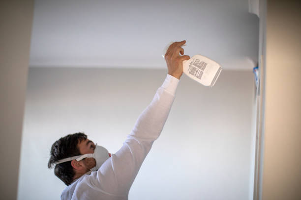 Best Toxic Mold Removal  in Suisun City, CA