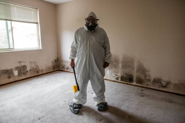 Best Toxic Mold Removal  in Suisun City, CA