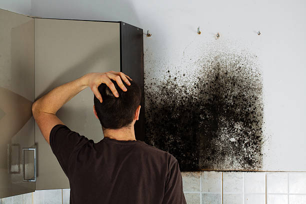 Best Mold Cleaning Services  in Suisun City, CA